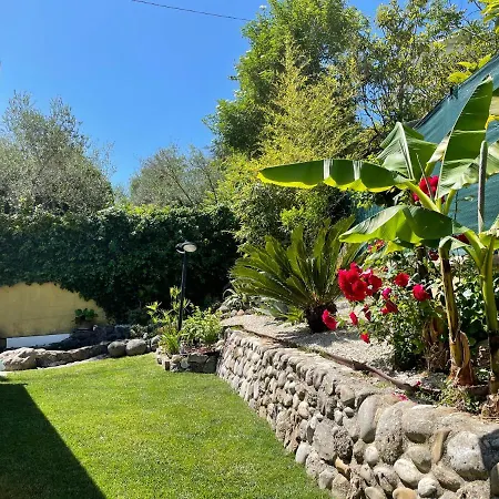 Landhuis Sunflower Lanciano