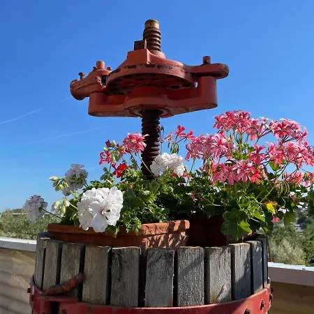 Sunflower Landhuis Lanciano