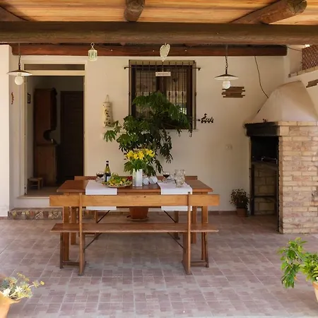 Sunflower * Lanciano