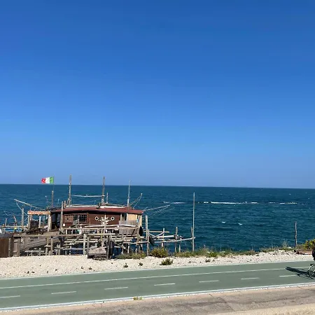 Sunflower * Lanciano