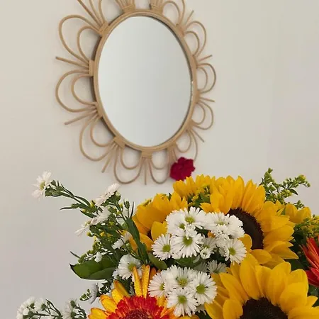 Sunflower * Lanciano