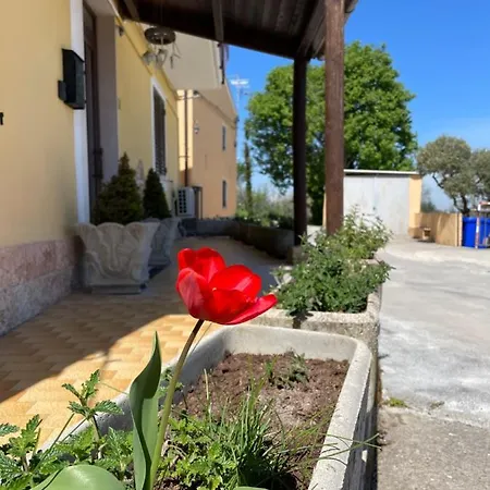 Sunflower Kır Evi Lanciano