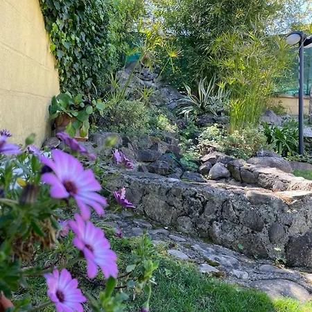 Sunflower Kır Evi