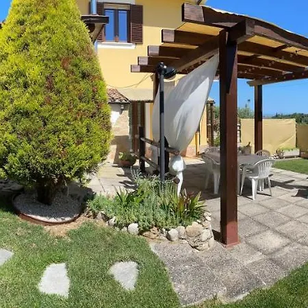 Sunflower * Lanciano