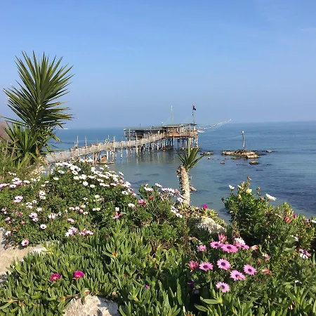 Sunflower * Lanciano