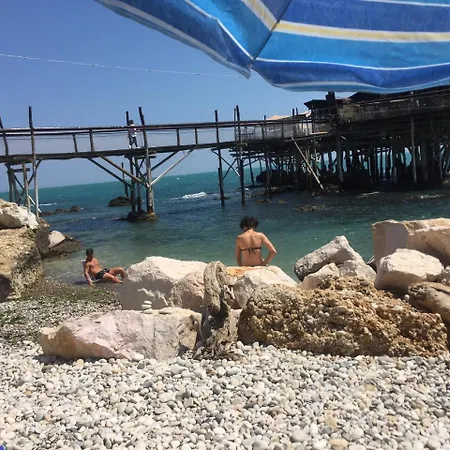 Landhuis Sunflower *