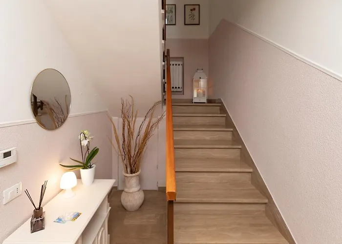 Sunflower * Lanciano