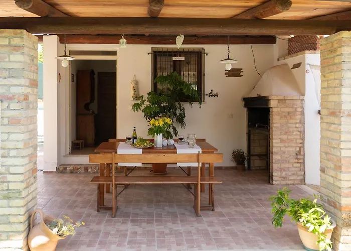 Sunflower * Lanciano