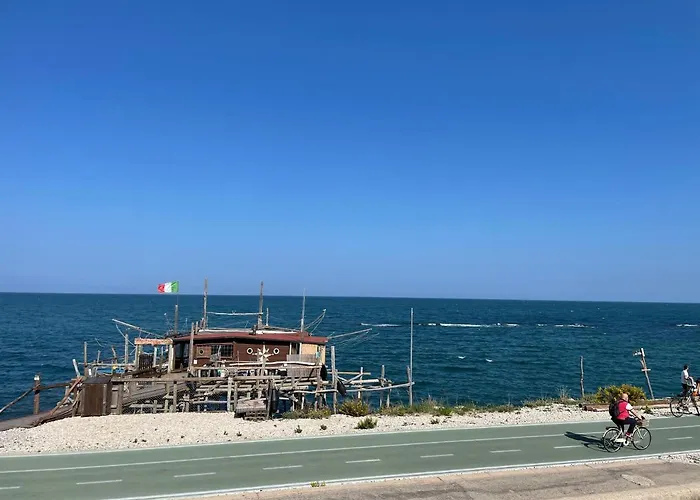 Sunflower * Lanciano