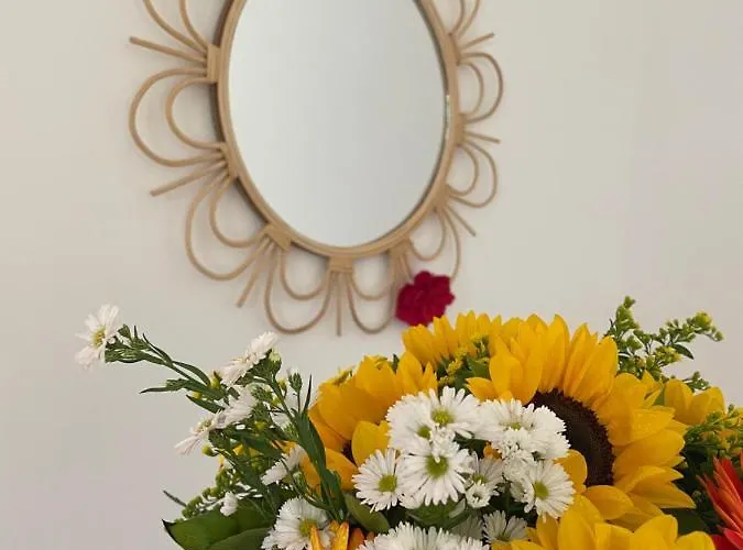 Sunflower * Lanciano