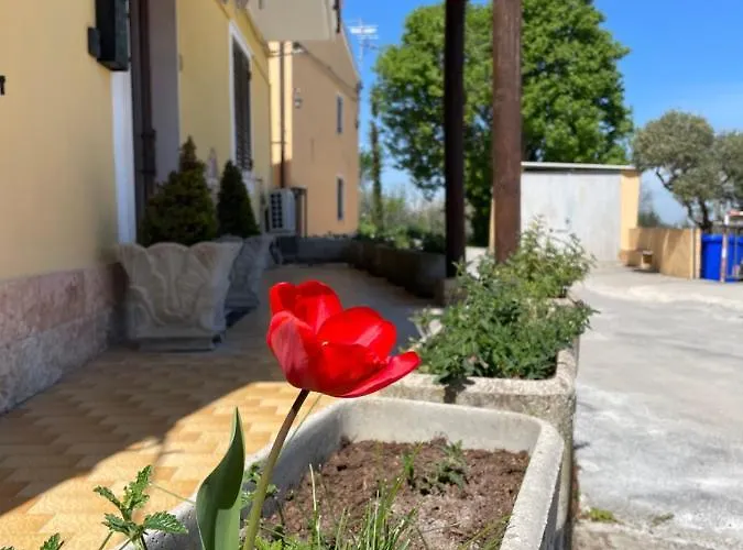 Sunflower Country house Lanciano