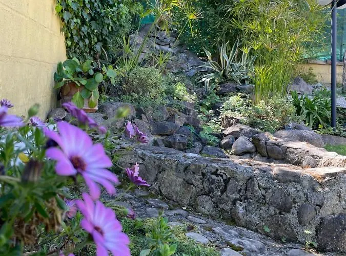 Sunflower Country house