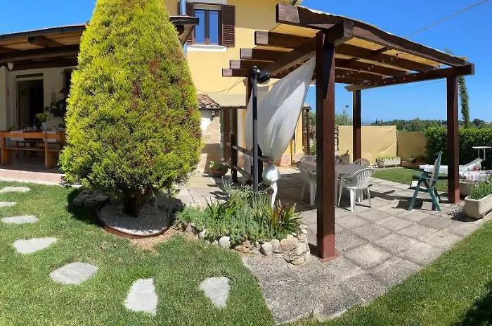 Sunflower * Lanciano