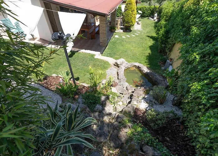 Sunflower Country house