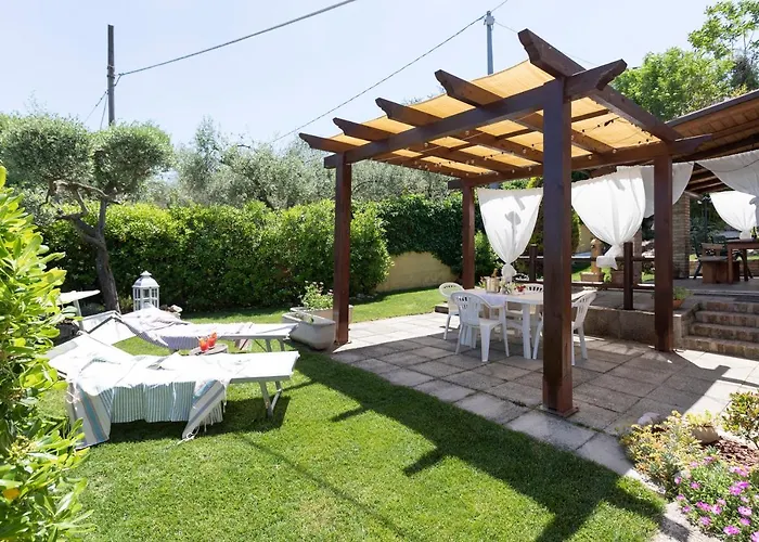 Sunflower * Lanciano