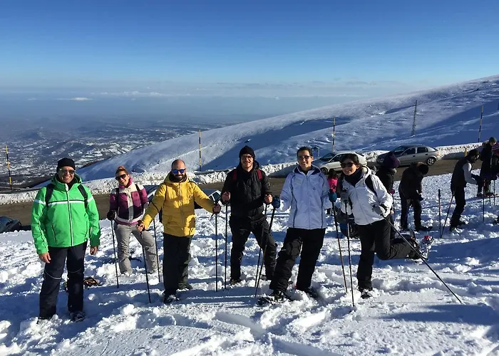 Country house Sunflower *