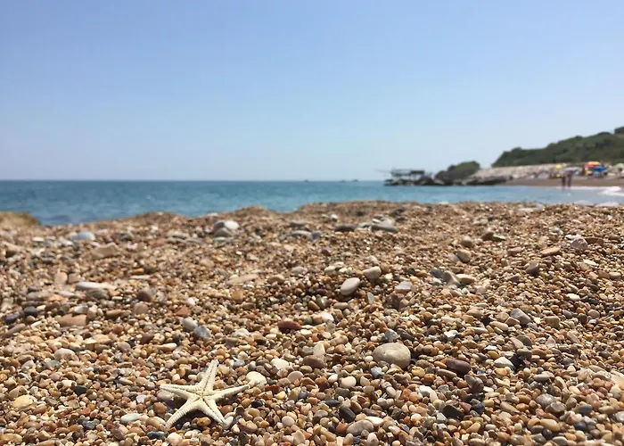 Sunflower Country house Lanciano