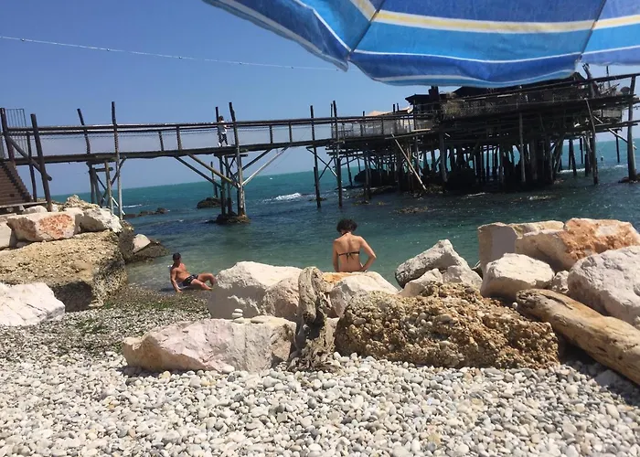 Country house Sunflower *